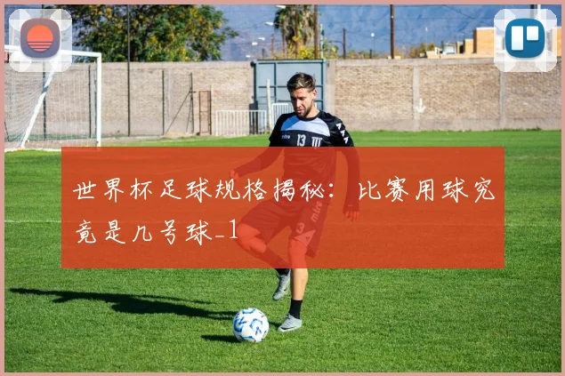 世界杯足球规格揭秘:比赛用球究竟是几号球_1