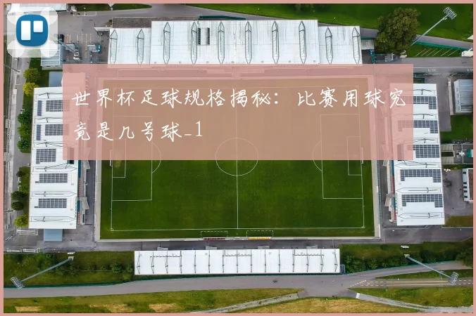 世界杯足球规格揭秘:比赛用球究竟是几号球_1