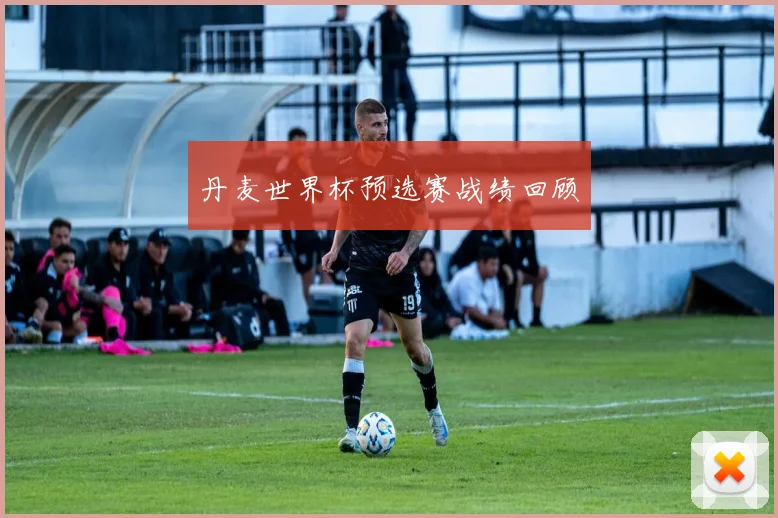 丹麦世界杯预选赛战绩回顾