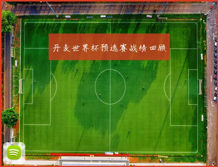 丹麦世界杯预选赛战绩回顾