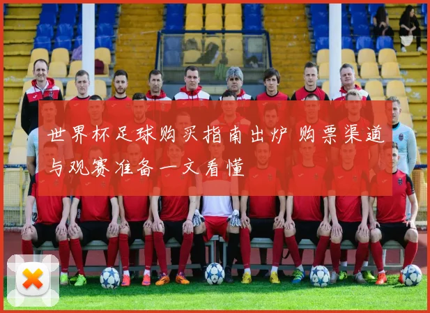 世界杯足球购买指南出炉 购票渠道与观赛准备一文看懂