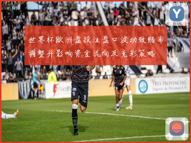 世界杯欧洲盘投注盘口波动致赔率调整并影响资金流向及竞彩策略